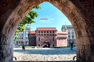 国内球队备战亚洲区比赛，战术布局精准