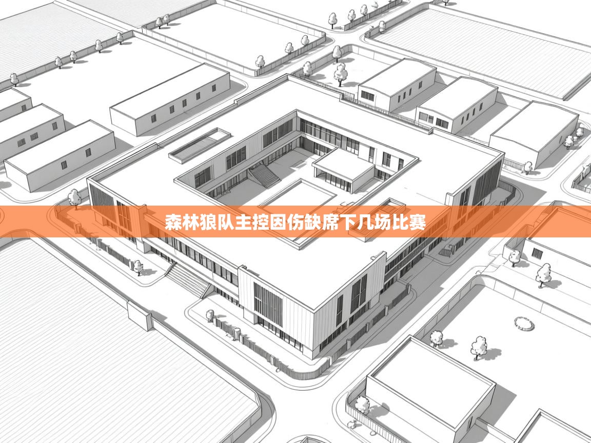 森林狼队主控因伤缺席下几场比赛  第1张