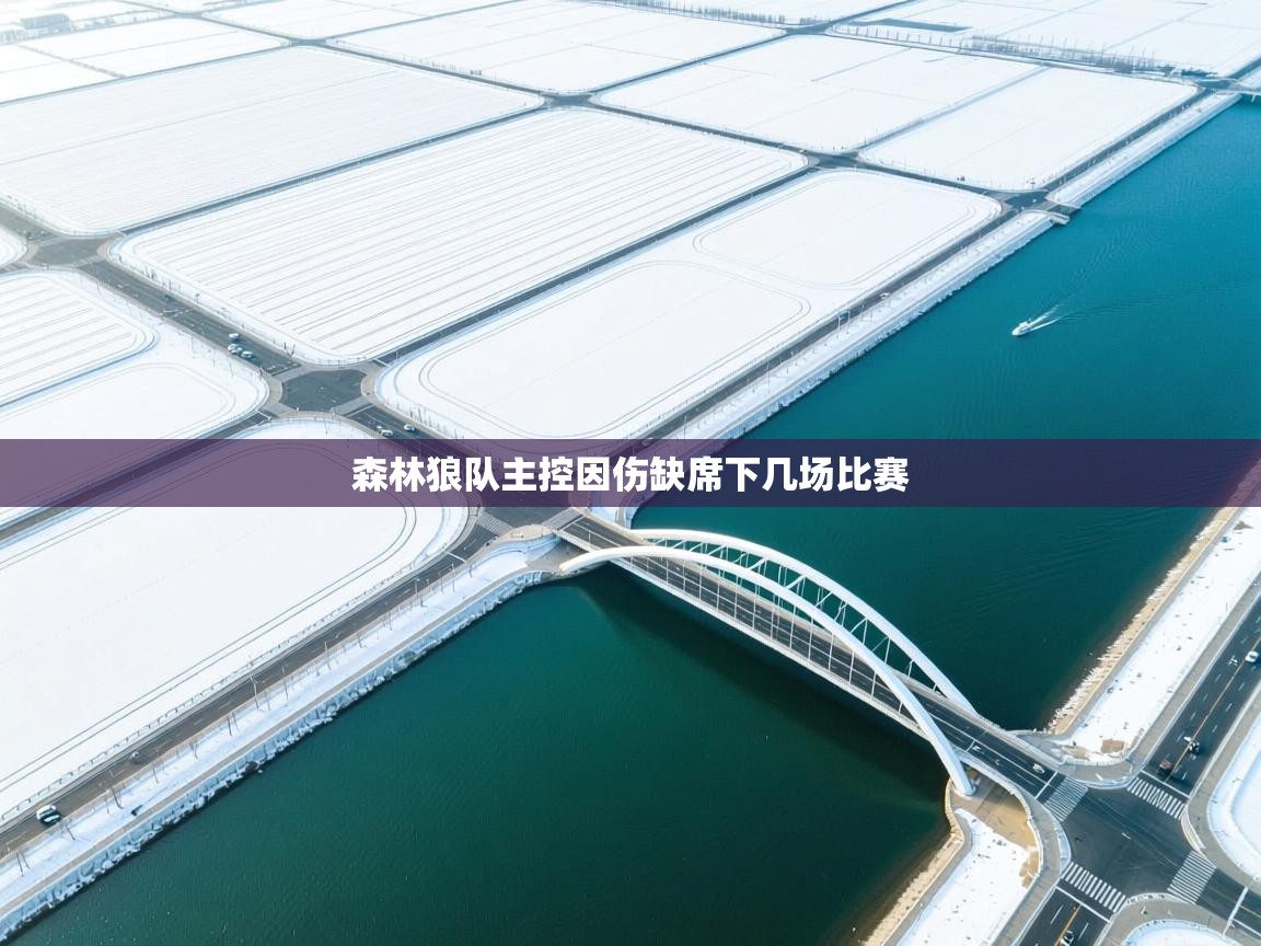 森林狼队主控因伤缺席下几场比赛  第2张